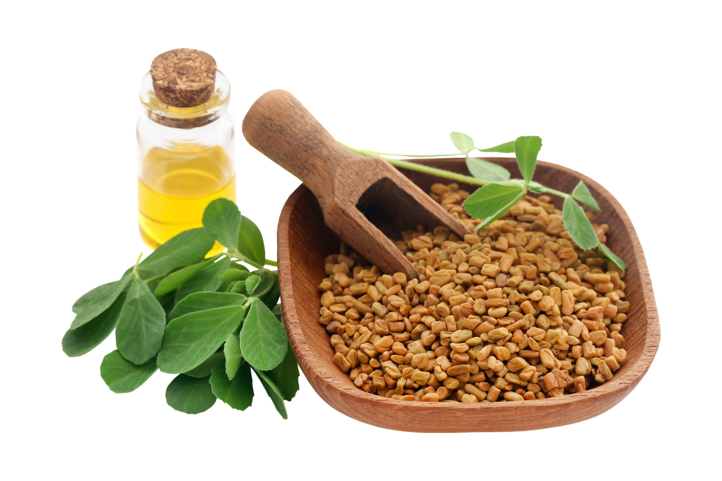 Rosemary & Fenugreek Hair Growth Oil